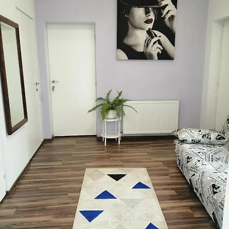 Apartment Violet House Turda