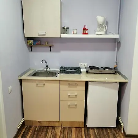 Apartment Violet House Turda